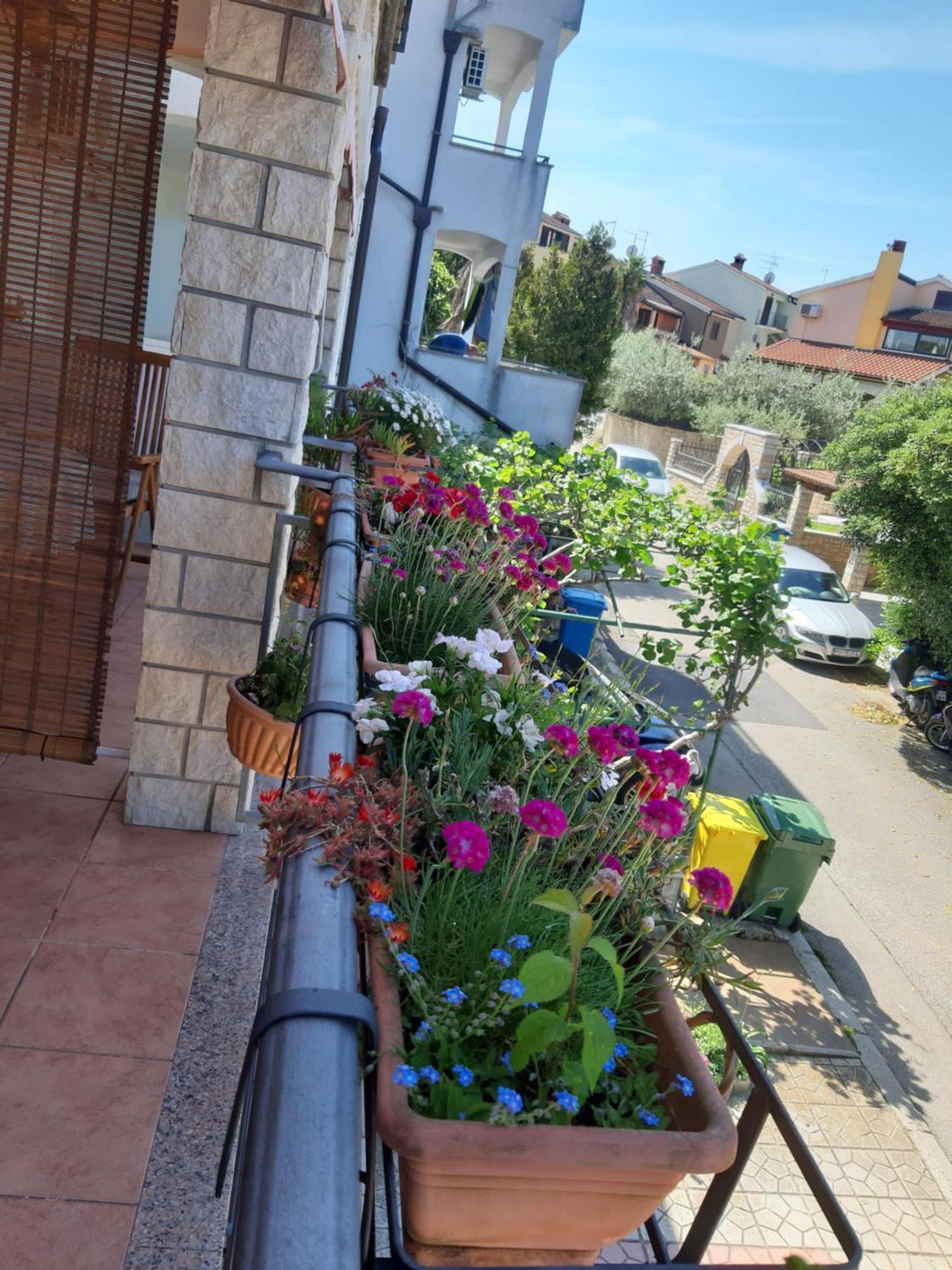 Adria Vrsar Exterior foto